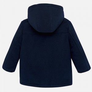 19-02453-050-800-3-1